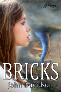 Bricks cover